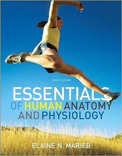 Essentials of Human Anatomy & Physiology