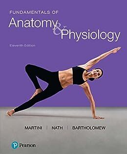 Fundamentals of Anatomy and Physiology