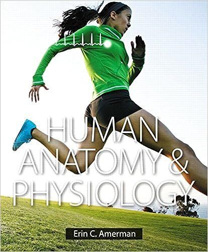 Human Anatomy Physiology