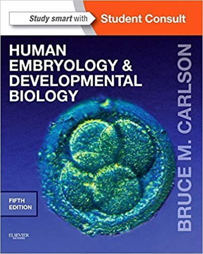 Human Embryology And Developmental Biology 5th Edition